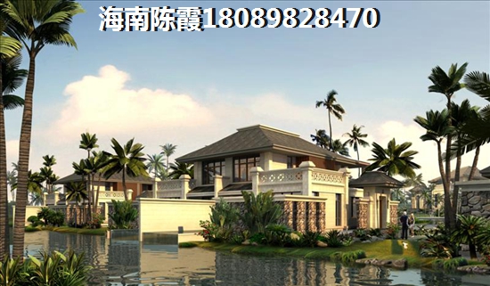 为什么XG后海南房价还在上涨