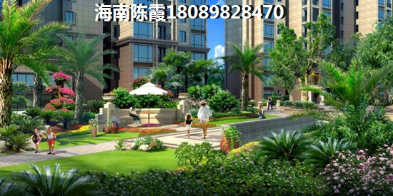 海南东方市东方花梨湾纸得买吗
