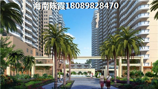 海南全域XG政策
