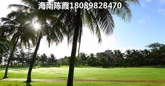 东方市房价