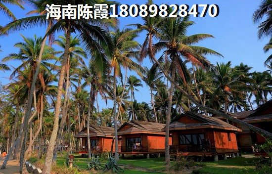 东方海湾涛昇国际房地产为何这么火爆