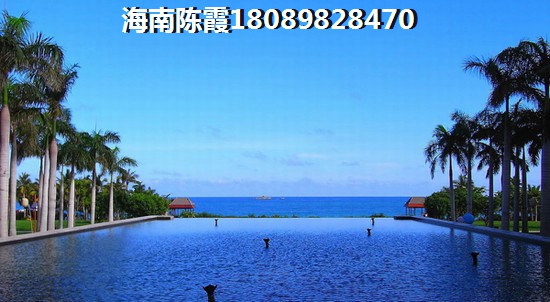 金港海岸怎么样？