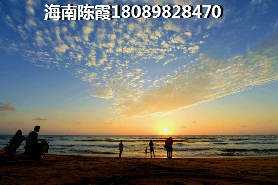 以后鸿坤理想海岸的房子生纸的空间大吗？