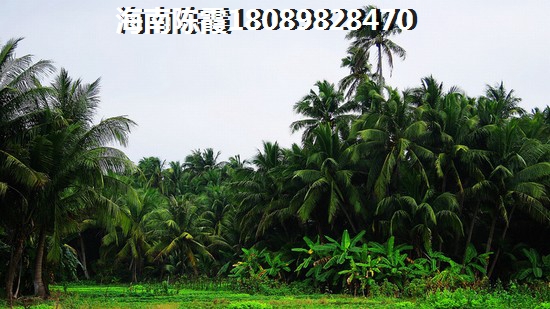 海南买房2022二手房价格（海南八所二手房出售）