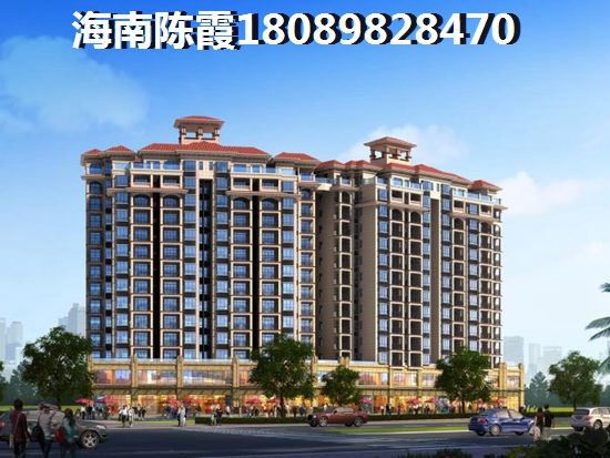 >2019海南购房分析