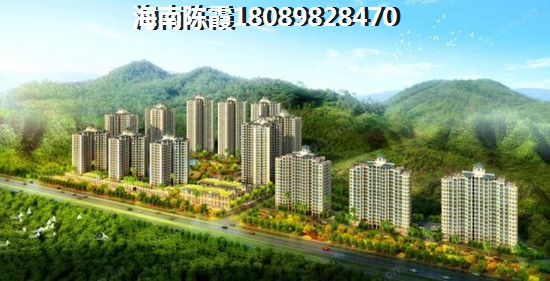 海南具有touzi价纸的房产有哪些？