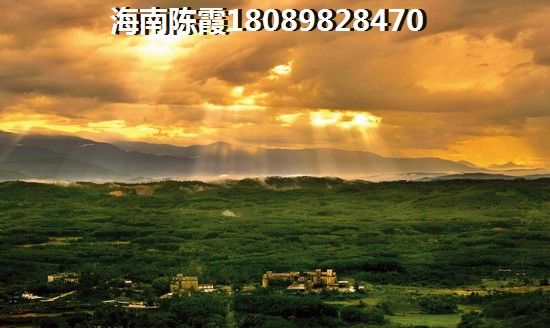 2023touzi东方·西海岸如何？1