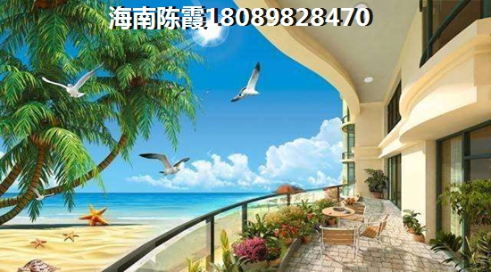 东方花梨湾好处分析5
