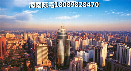 2024年海南购房客群4