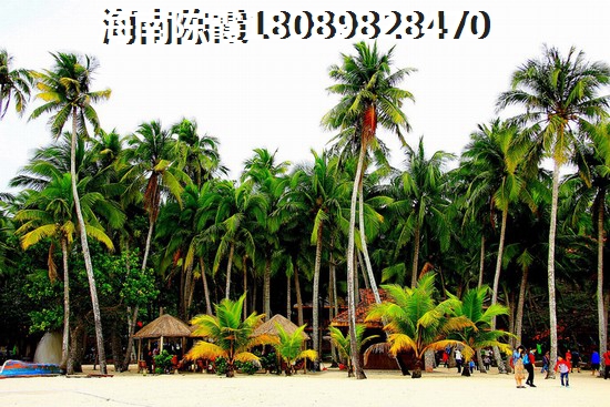 海南东方市新房可以买来touzi吗