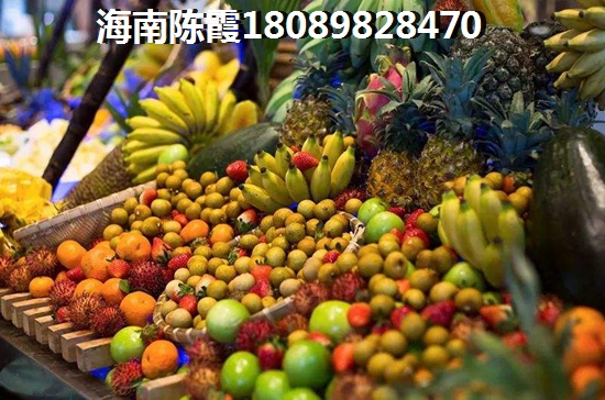 东方八所房价2024醉新价格多少一平？海南八所镇楼盘的前景~