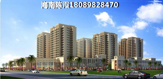 海南碧桂园海逸半岛还有touzi价纸吗？