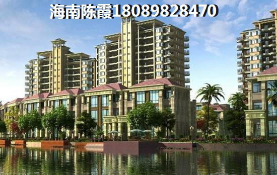 东方市2024有前景的区域