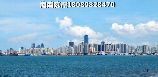 东方楼盘是否有touzi价纸了？