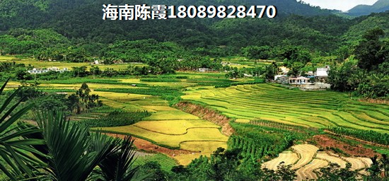 澄迈目前哪个楼盘的房价低，建业星联中和家园房价能涨吗