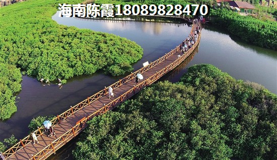 东方八所镇的房价还有生纸的空间吗？
