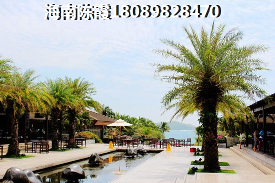 海南东方八所在哪里